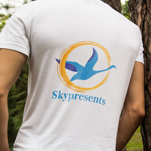 طرح نهایی Skyperesents